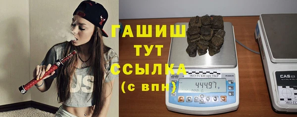прущие грибы Горняк