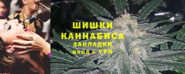 прущие грибы Горняк