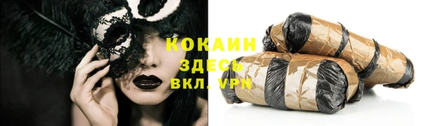 прущие грибы Горняк