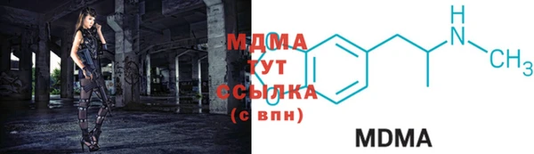 прущие грибы Горняк