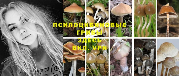 прущие крисы Горнозаводск
