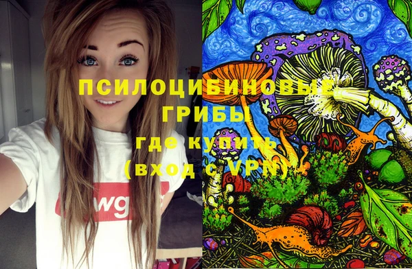 прущие крисы Горнозаводск
