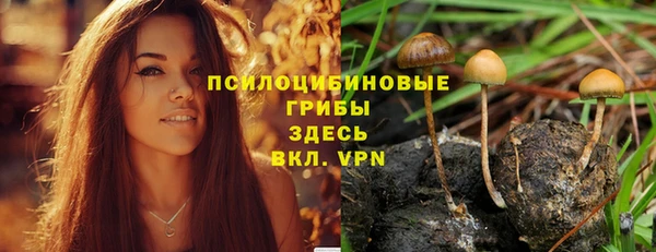 ALPHA-PVP Кукмор