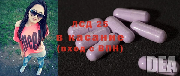 прущие грибы Горняк