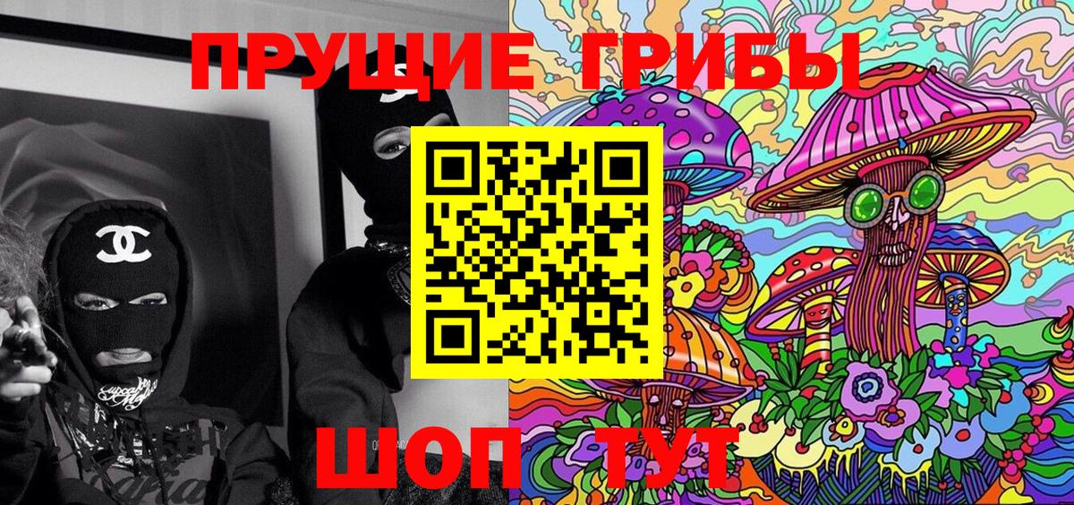 Псилоцибиновые грибы Psilocybe  Вход с VPN  Псилоцибиновые грибы Psilocybe  Наро-Фоминск 