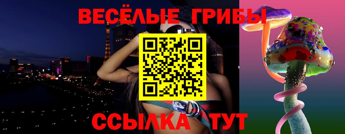 Галлюциногенные грибы Psilocybine cubensis  Псилоцибиновые грибы прущие грибы  Наро-Фоминск 